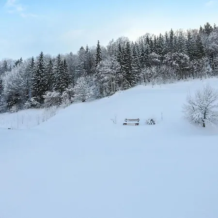 Ferienwohnung Hoher Goll شقة *